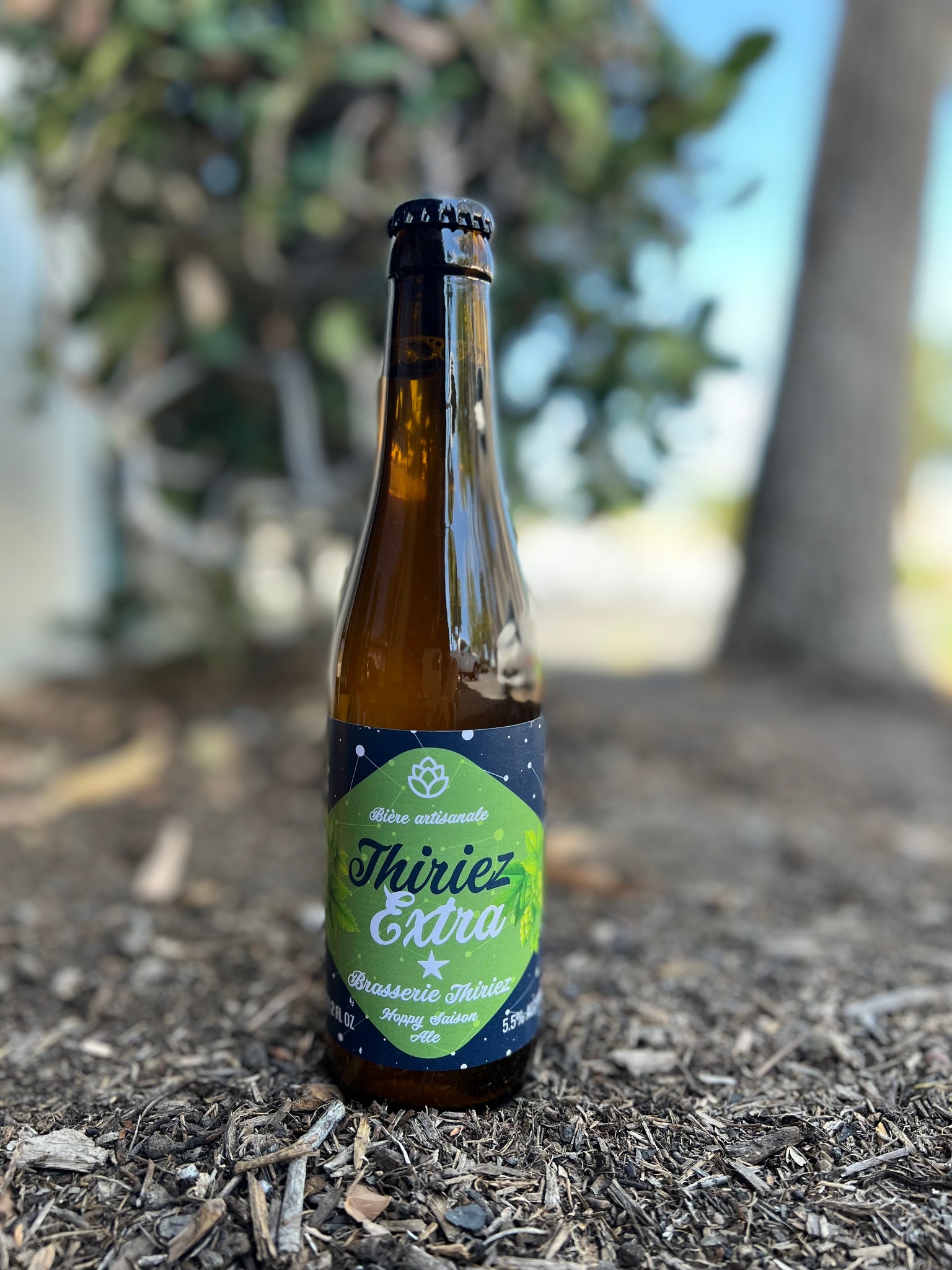 Thiriez- Extra (Dry-hopped Farmhouse Ale)