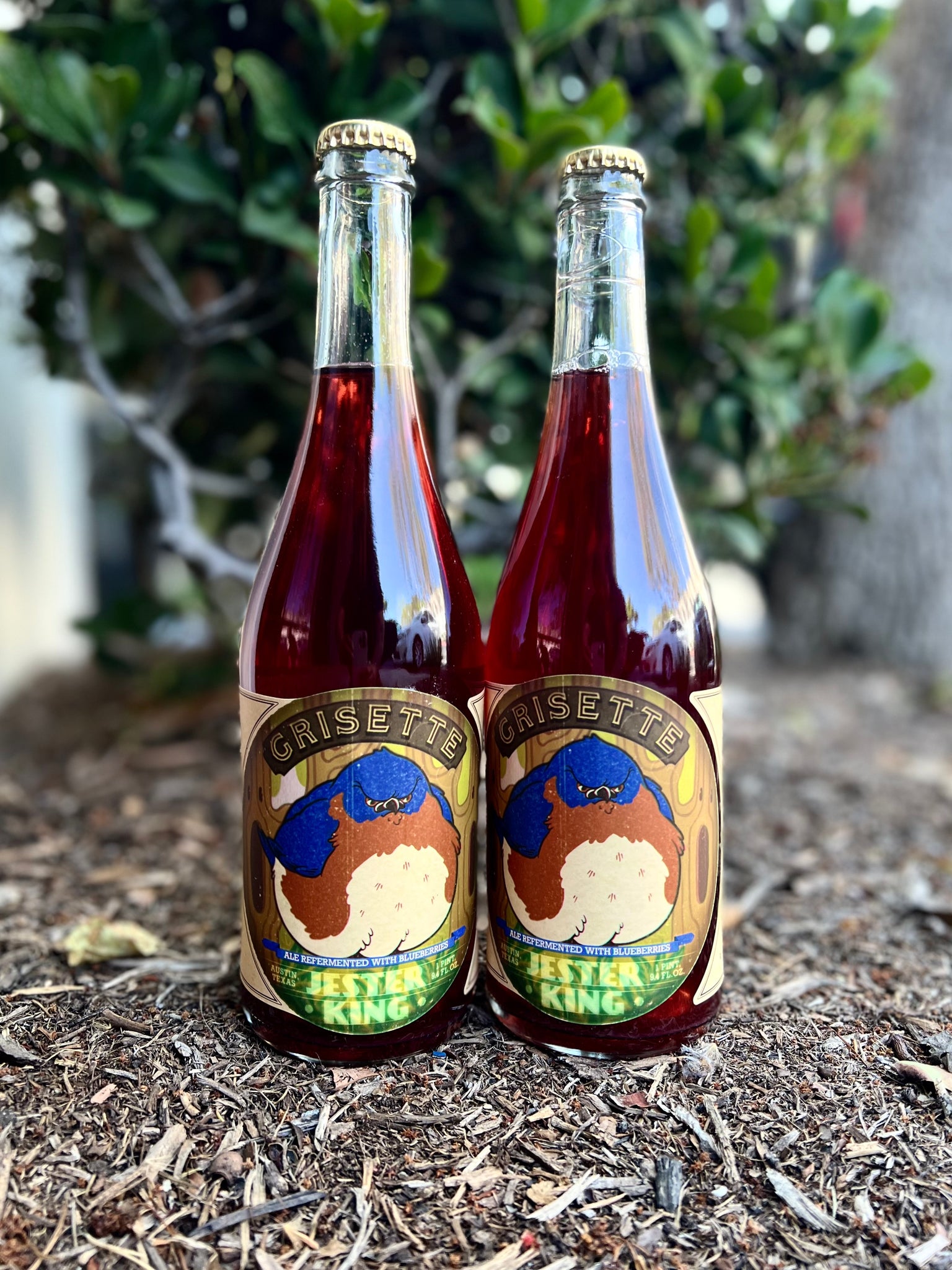 Jester King Brewery- Blueberry Grisette 750ml
